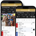 how to bet horse racing online