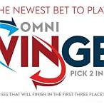 omni swinger horse bet